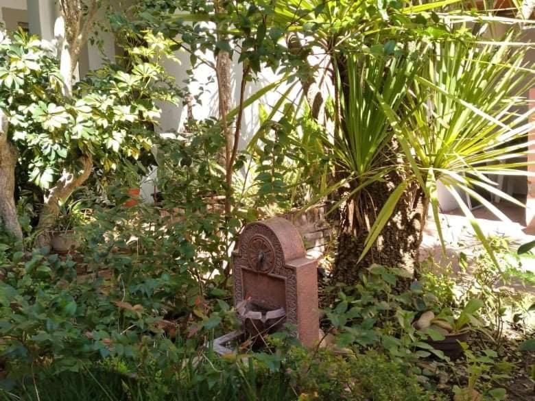 Hosteria Uruguay Piriápolis Exteriér fotografie