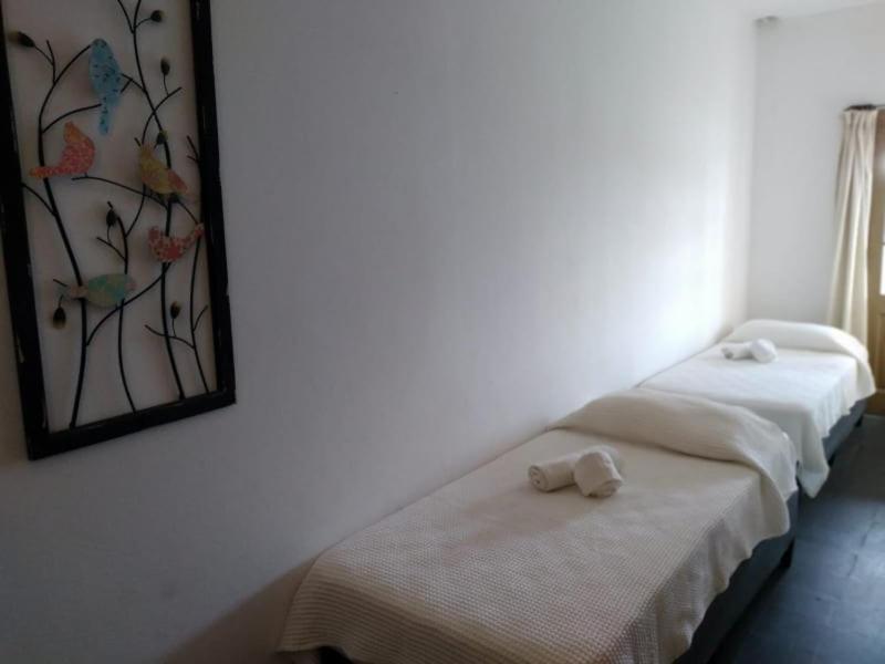 Hosteria Uruguay Piriápolis Exteriér fotografie