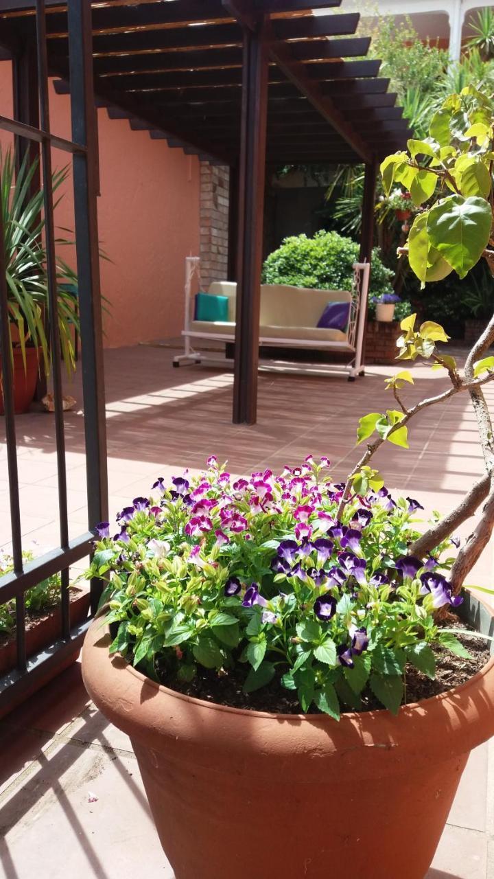 Hosteria Uruguay Piriápolis Exteriér fotografie